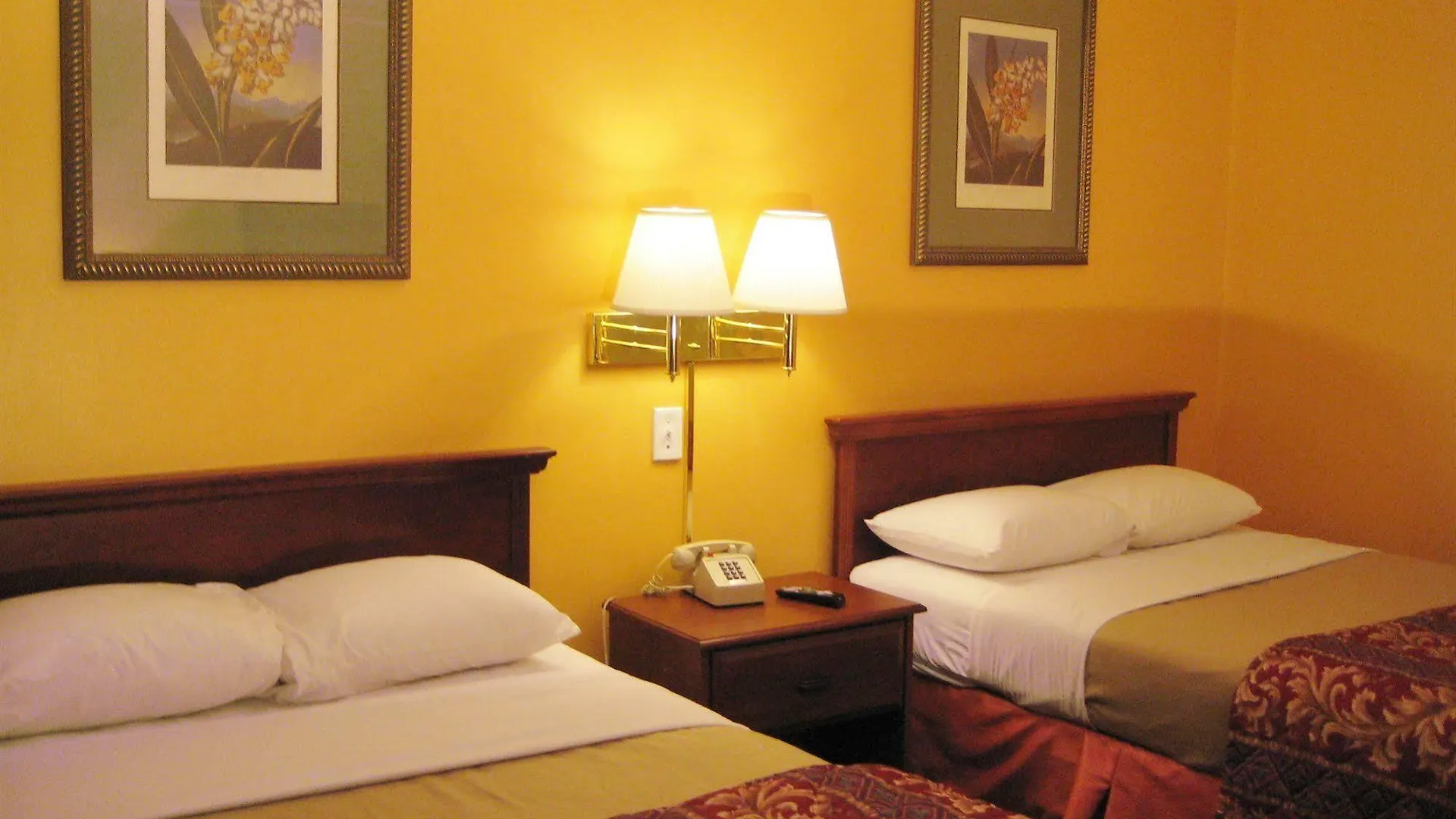 Motel Charlotte Express Inn